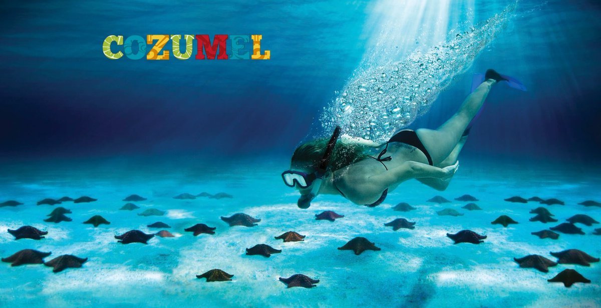 PakmailCozumel's tweet photo. @PlayaRiviera Muy difícil pregunta... Las 3 son #Hermosas

https://t.co/Ur3Z51lply
(987)872-3576
#Centro de #Cozumel
L - V 9:00 -19:00 Hrs
S 9:00 - 13:00 Hrs
#DHL #FedEx #UPS #Estafeta
#PakMail #Mensajeria #Paqueteria
#Nacional e #Internacional
#Envio #Caja #Empaque https://t.co/KkFzLwSWeP
