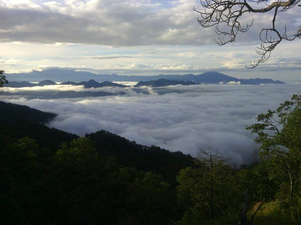 AlexisNevarez16's tweet photo. @elninioshow @T0paa Es de la sierra de Durango, puede llegar en avioneta, vuela de carboneras una pista de Culiacán, se trae al compa Rosh, aquí está su casa 😌🌲 https://t.co/yx8irThgXi