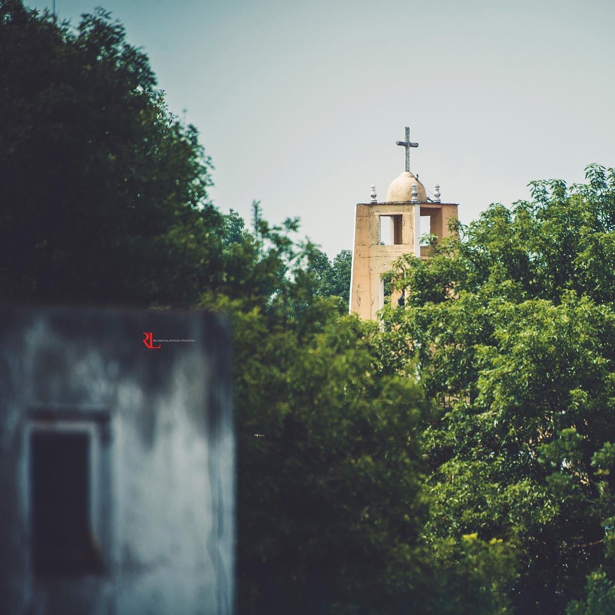 Tiempos de pandemias y azoteas