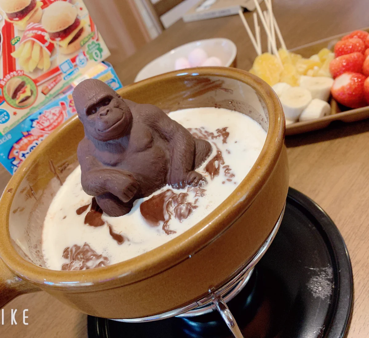 お風呂に入ってるみたいwwwゴリラのチョコでフォンデュをしてみた結果www