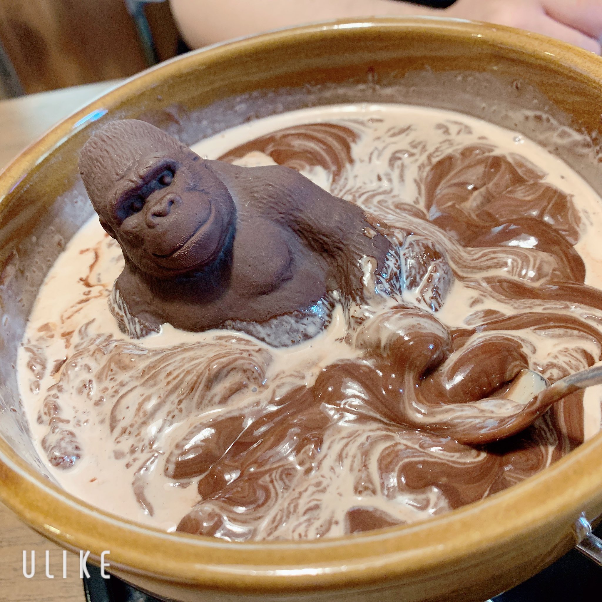 お風呂に入ってるみたい ゴリラのチョコでフォンデュをしてみた結果 話題の画像プラス