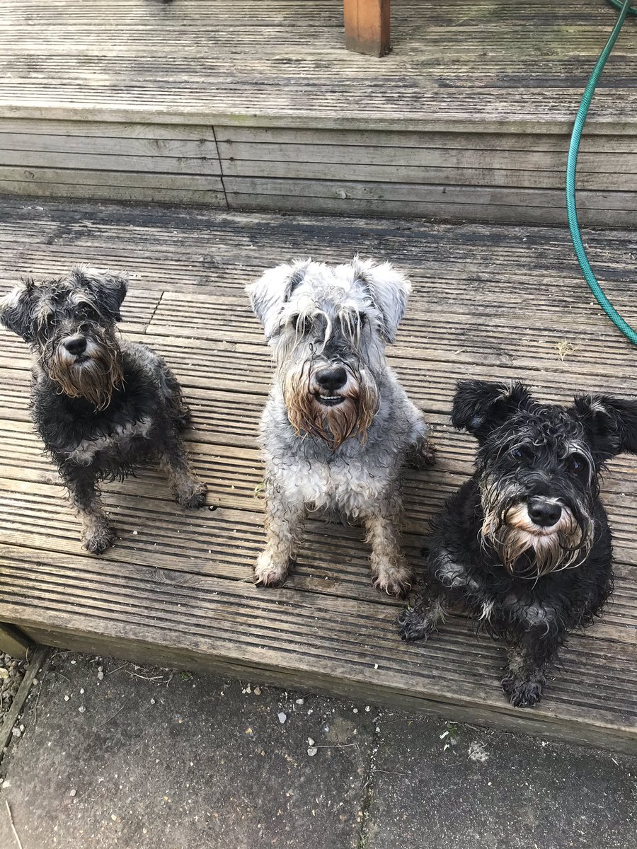 hmglassart's tweet photo. @Thombs1 You too just off out with the #studioassistants https://t.co/V1GHPlA2CD
