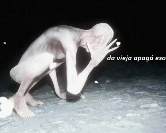 wikiesqueletos's tweet photo. cuando empieza a salir el sol de madrugada https://t.co/aLYnWk57Cp