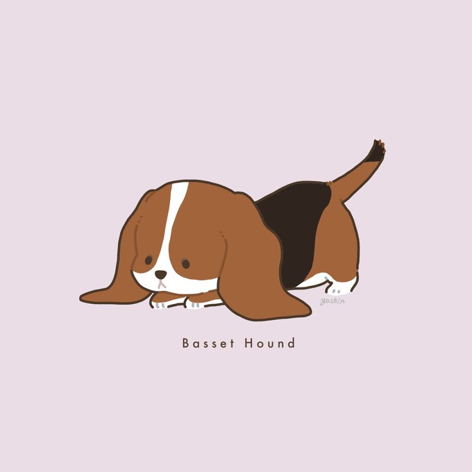 バセットハウンドのtwitterイラスト検索結果