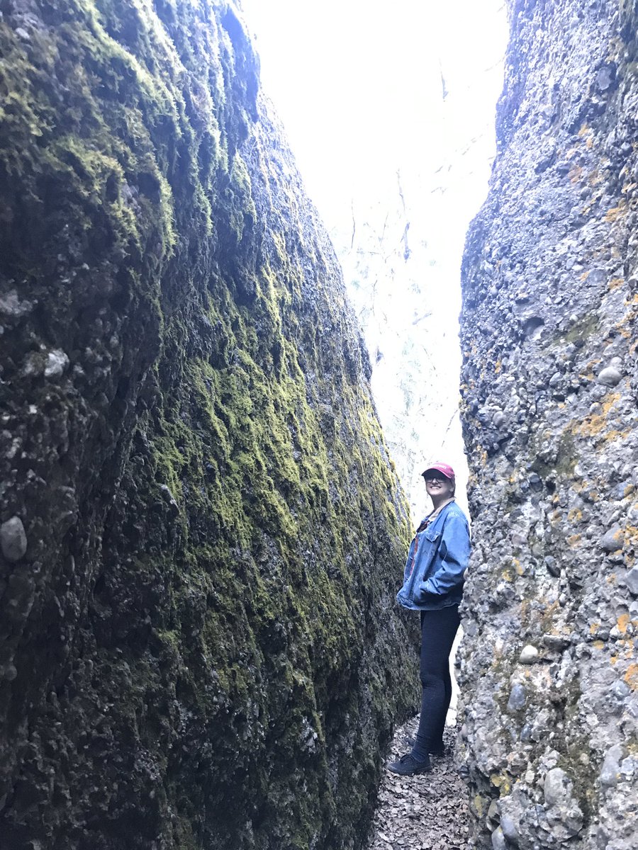 JTBrad65's tweet photo. What to do after a long day in school? 10 minute drive #getoutside #grandecache #ABParks #sulfurgates #firstleaves https://t.co/JE3c0L3H35