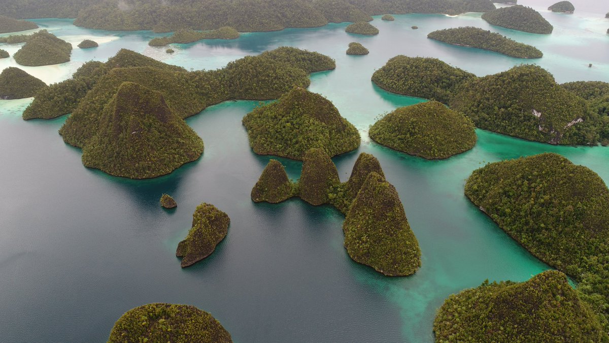JejakSapta's tweet photo. How's beautiful this place.
wanna look around this place?
please contact us and we will bring you to this beautiful place and bring your new experience about karts island.
#wayag #rajaampat #saptajejakpesona #pesonajejakpapua #7warnapapua #pesonarajaampat #wonderfulrajaampat https://t.co/8uaisYwEra
