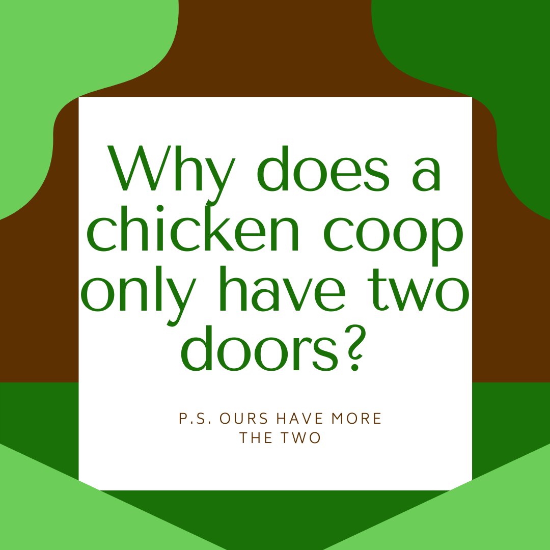 OrganickP's tweet photo. Because if they had four, it would be a chicken sedan! https://t.co/XBBHeCFuAV