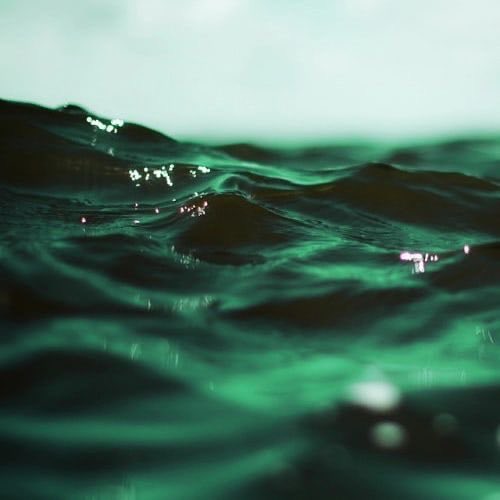 carstairslust's tweet photo. 𝗐𝖺𝗍𝖾𝗋 ╱ 𝖺́𝗀𝗎𝖺

sentimentos e emoções profundas: inconsciente, psiquismo, sensibilidade, empatia, receptividade, captação, vulnerabilidade (força quando canalizada), percepção, sintonia com a alma. https://t.co/RJcgexryhj