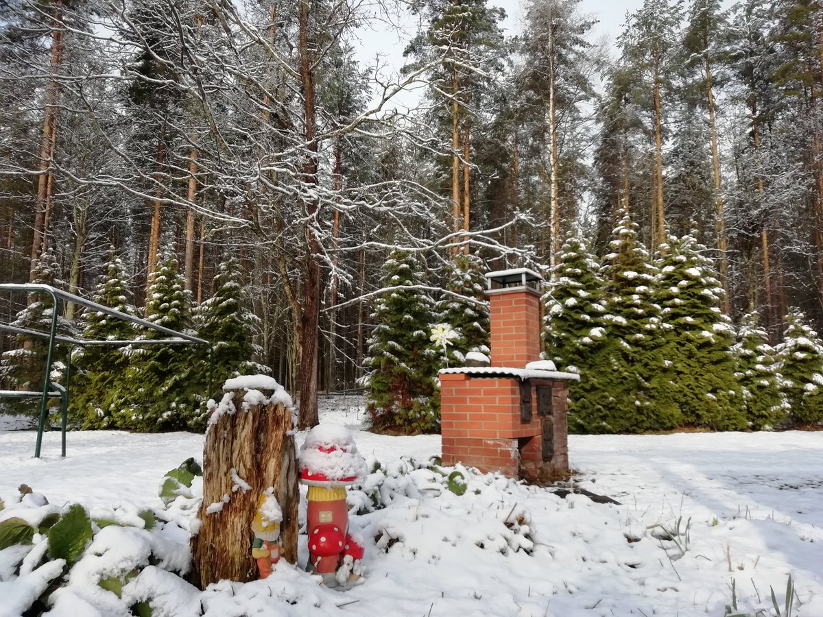 Huomenta ❄️❄️❄️