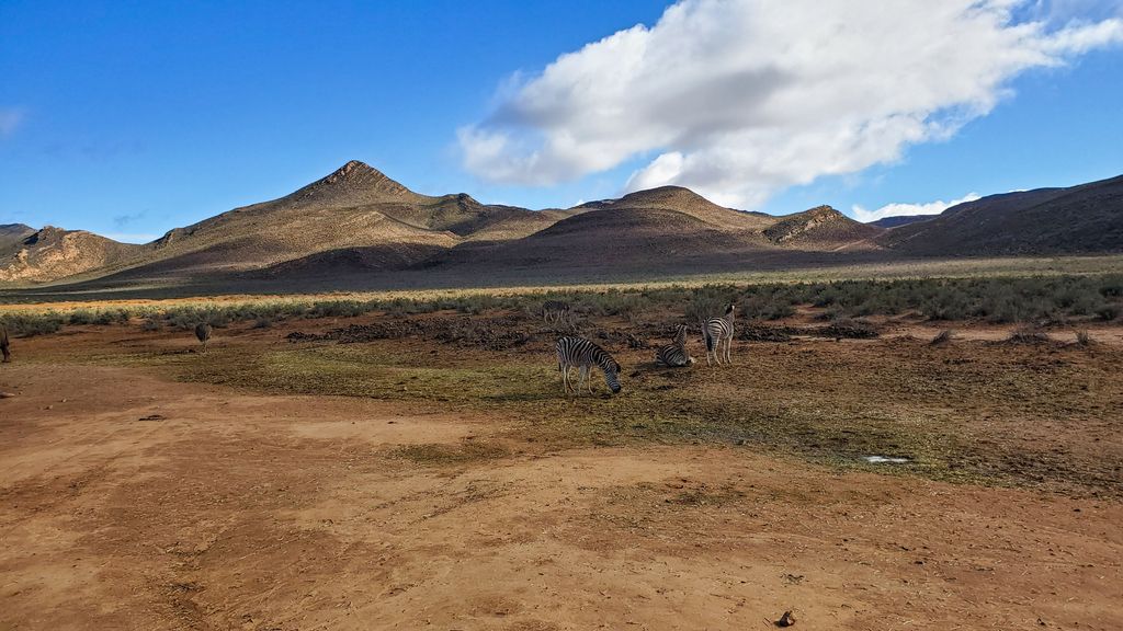 BraveTravelerIV's tweet photo. South Africa | Vlog:https://t.co/BhBG6OxxNZ

#Southafrica #tablemoutain #travelblogger #TravelTuesday #travelphotography #photography #bravetraveler #vlogger #vlog #like4like #follow4follow #africa #holiday #tourist #tourism #history #world #traveler #budgettravel #gapyear https://t.co/zxctqgWuiT
