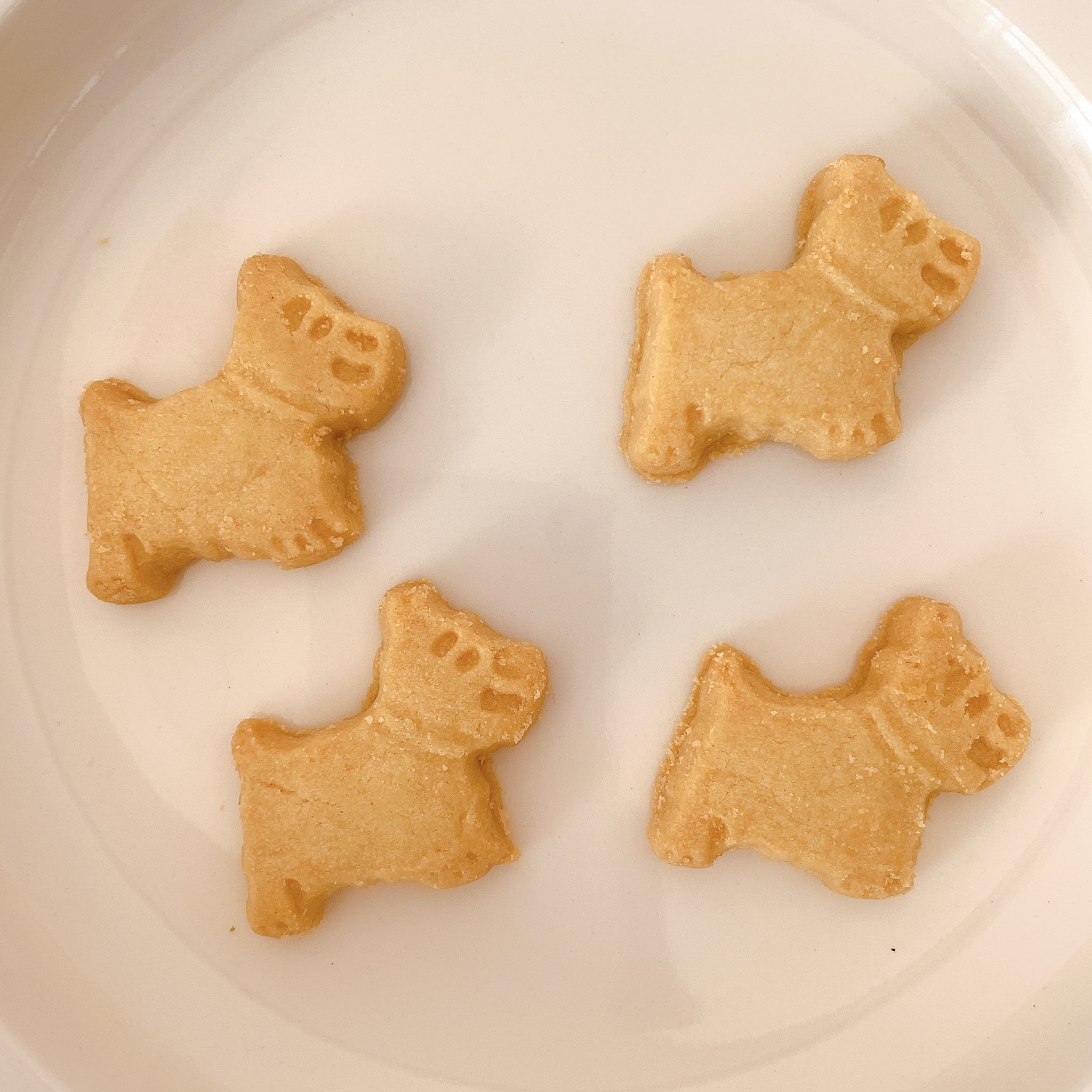 توییتر Ku Nel クウネル در توییتر 動物もの お菓子に目がない私 スーパーパトロールで ウォーカークッキーの犬 版を見つけ 迷わず購入 スコットランドのお菓子メーカーらしく 犬種はスコティッシュテリア 猫は以前 買った初台 サンデー ベイク ショップ