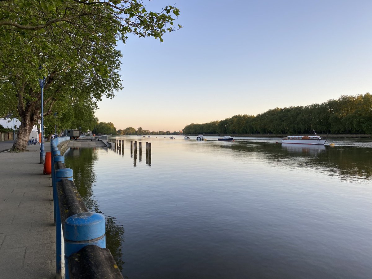 SarahJGP's tweet image. #sparrowfart #viewfrom the embankment #putney #towpathexercise