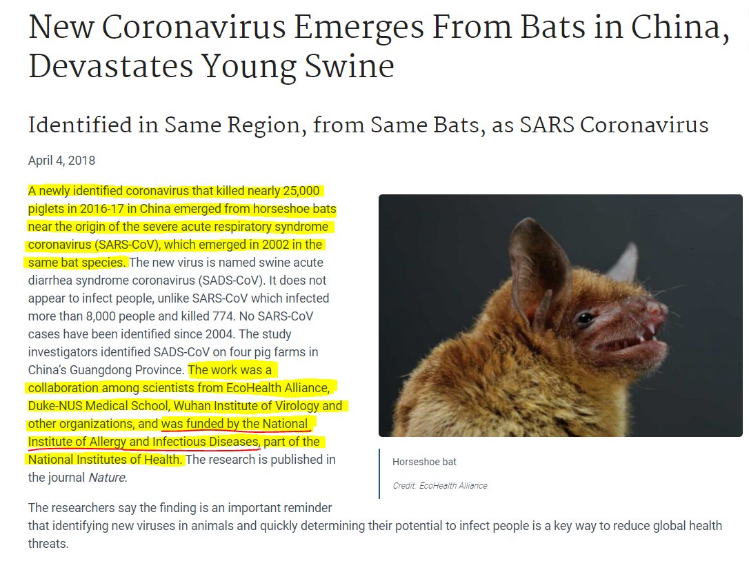 NikolovScience's tweet photo. @BULLYNOT2U This tells us how confused or deceitful Dr. Fauci really is. Doesn't he get (or doesn't he care) that the economic lockdown has already damaged far more lives than the virus, which his funding to the Wuhan lab likely helped create?
https://t.co/xzTRMTMLxO https://t.co/0aUPHsXG1V