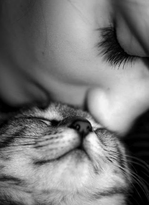 AnnaFrLyon's tweet image. “Perhaps one reason we are fascinated by cats is because such a small animal can contain so much independence, dignity, and freedom of spirit. Unlike the dog, the cat’s personality is never bet on a human’s. He demands acceptance on his own terms.” 

—Lloyd Alexander