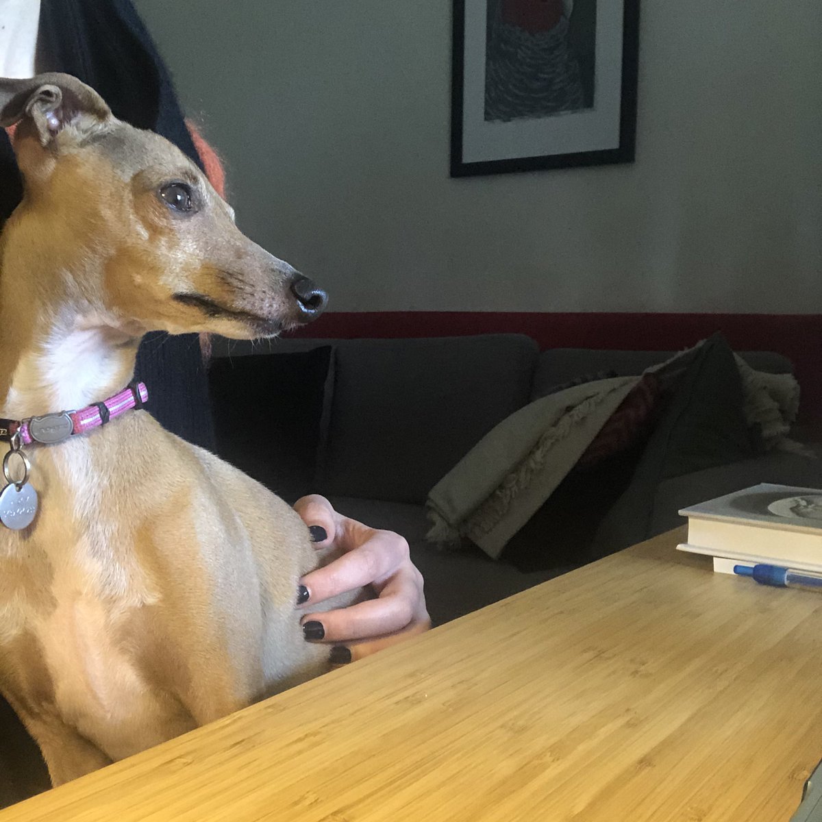 Today’s helper musing on what it means when your industry needs workers more than ever - but has a risky and unreliable funding model that means cutting wages and conditions is its easiest option. If unis still need us, and they do, they need to pay us appropriately