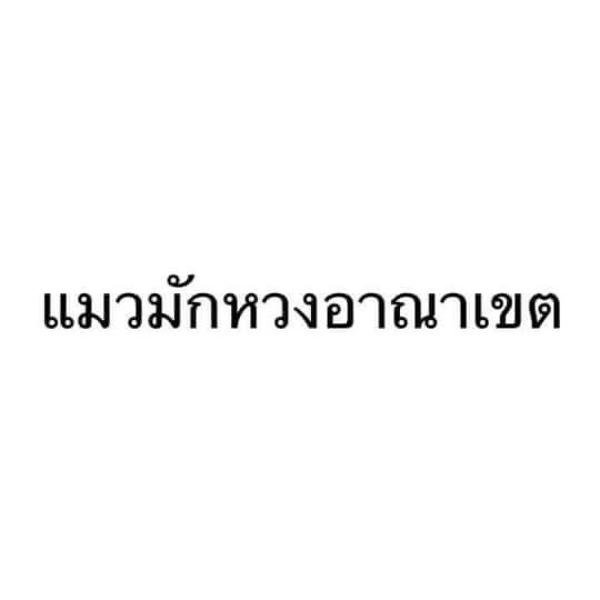 ashie 🚂 tweet media