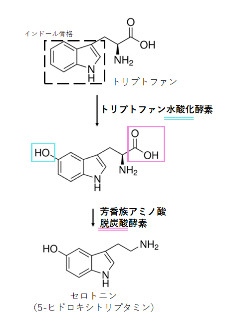 みよ スルピリド 高容量 統合失調症 中用量 抗うつ 低用量 消化器潰瘍 非定型 陽性 陰性症状改善 錐体外路症状は軽度 Sda リスペリドン ペロスピロン D2 5ht2a 副作用 高血糖 禁忌 Ad投与中 パリペリドン リスペリドン主