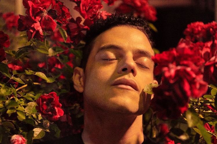 Happy birthday Rami Malek 