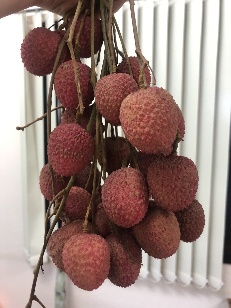 HenryLauTH's tweet photo. @henrylau89 Need some? https://t.co/TVNDAAZNNr