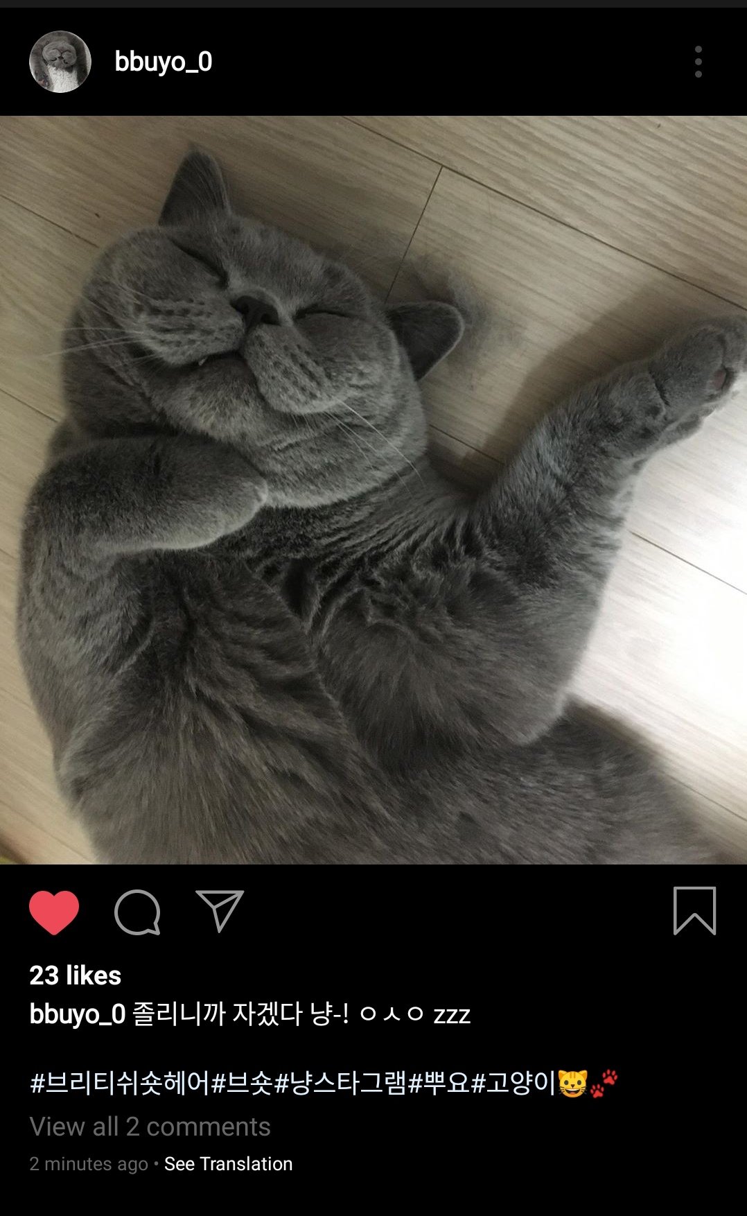 Jihyo Best Girl 💛 on Twitter: "Bbuyo's IG is more alive than Hyostagtram  😆 Cutie cat 💛 so fluffy 😍 #Bbuyo #Jihyo #Twice @JYPETWICE  https://t.co/efGWA2FTww" / Twitter