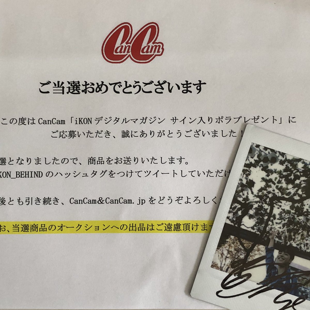 ztjntis's tweet photo. ついにCancam様からポラが届いた❕
ランダムとはいえ信じてドキドキで開けたらジュネ😭😭
大好きなジュネのサイン入りナイスフォトが手元にあるなんて嬉しすぎます...
大切に大切にします、本当にありがとうございます🤍✨
#iKON #iKON_BEHIND #iKONFANMEETING2019 #JUNE 
@tkwpcnfak https://t.co/fYS5KUiXPW