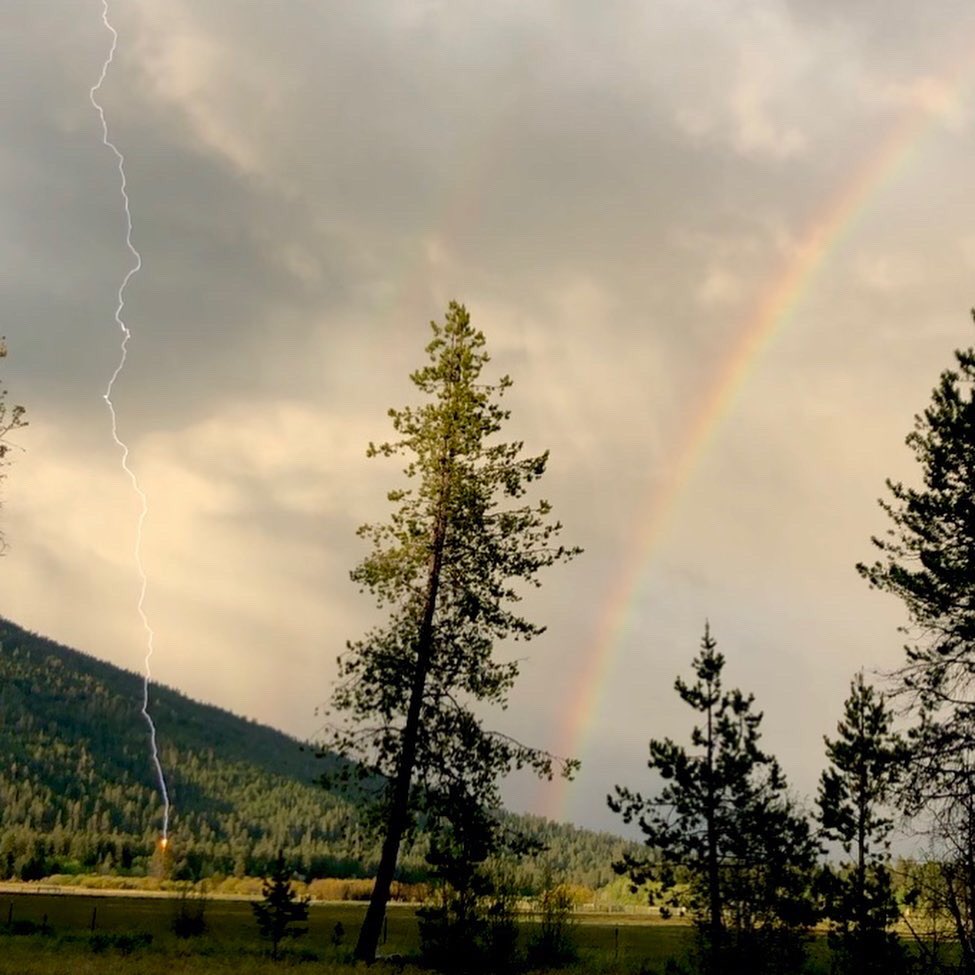 Lizzy and I were admiring the rainbow.. when THIS happened. We stayed under the grove of trees and until the storm passed. #lightning #rainbow #oregon