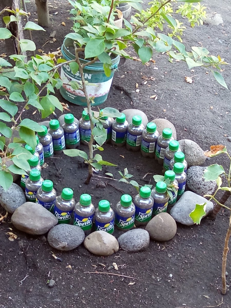 akosirusil's tweet photo. Ang ganda ng garden ni tita :) using @CocaColaPH bottles :) dipa yan tapos :) https://t.co/bs5g3HKJu9