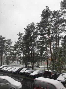 Переглянути зображення у Твіттері
