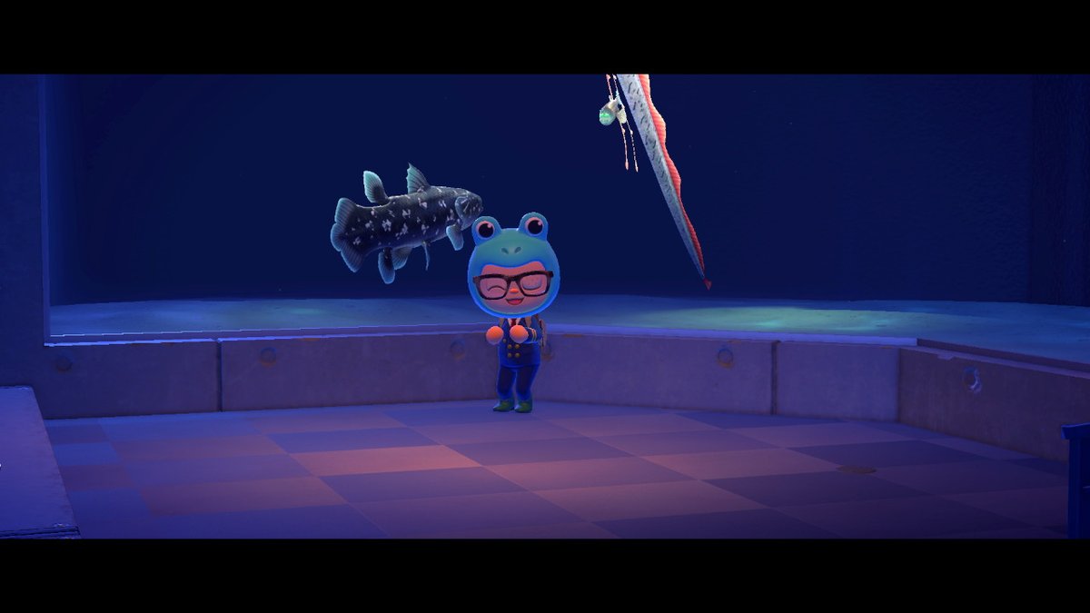 Switchburgh's tweet photo. #AnimalCrossing #ACNH #NintendoSwitch https://t.co/8AIhnYiP3e