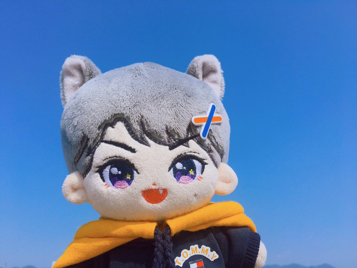 Wolf_MingMing's tweet photo. ฅ^•ﻌ•^ฅ https://t.co/uUSCJZp0kk