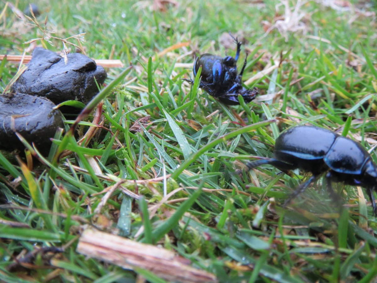 Rob Yorke tweet media