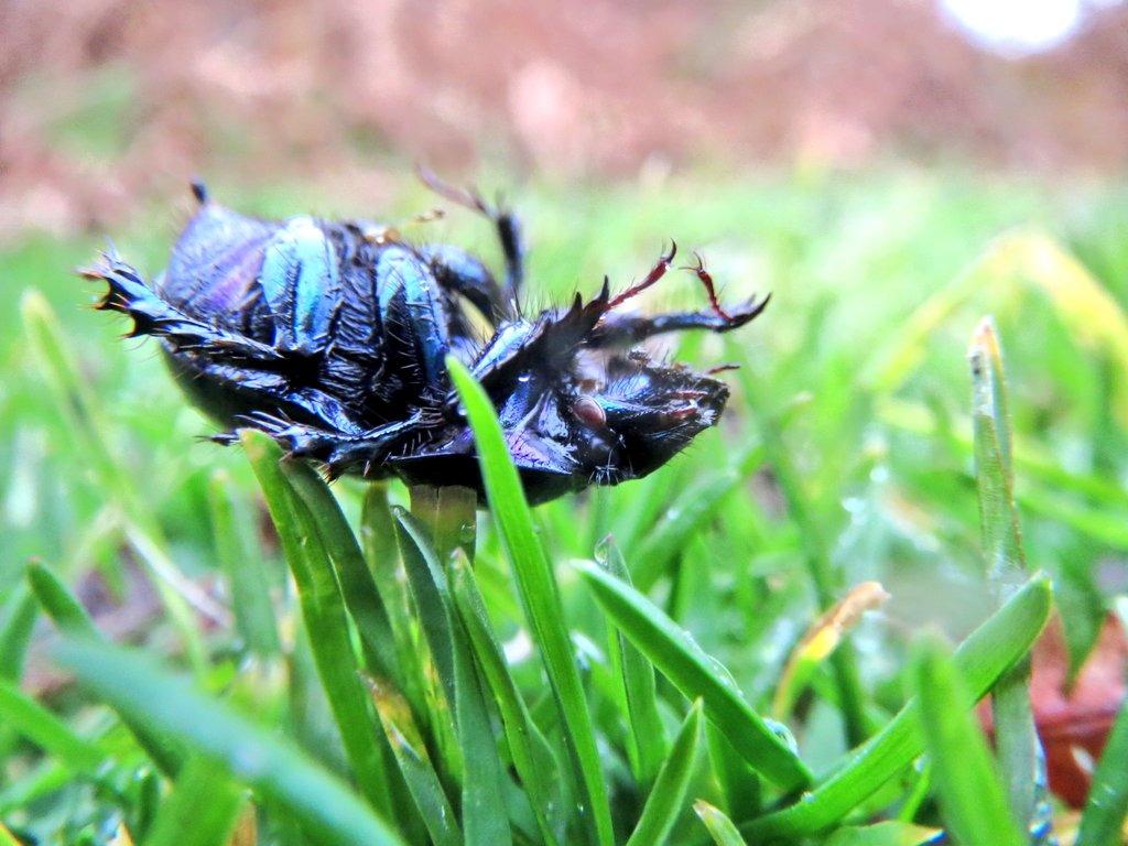 Rob Yorke tweet media