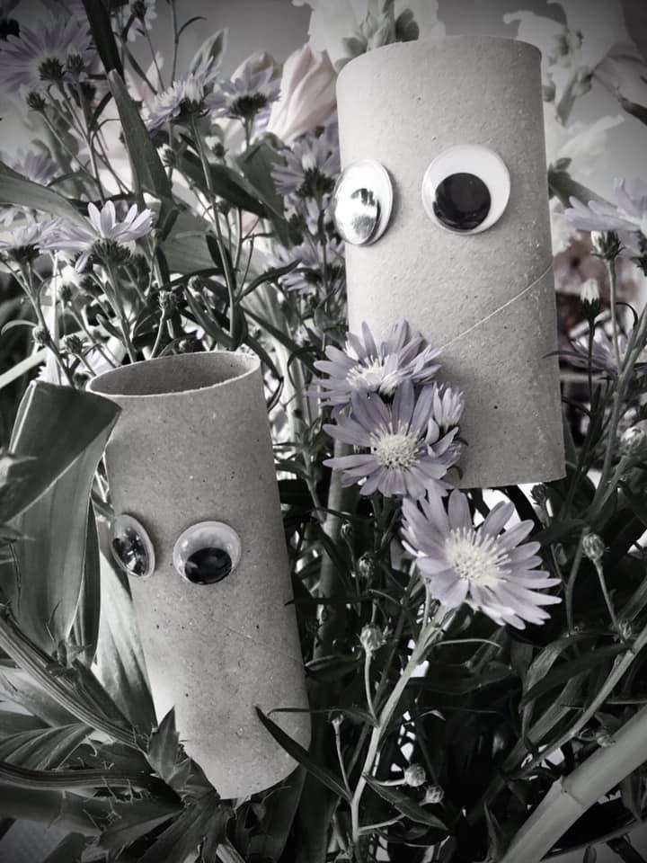 Nisedd's tweet photo. QWar and Tina think tip toeing through the tulips shouldn’t be this tough. #QWarandTina #toiletrollsaga #wheremyfriendsat #isthisthereallifeorjustafantasy https://t.co/iY7LieNd48