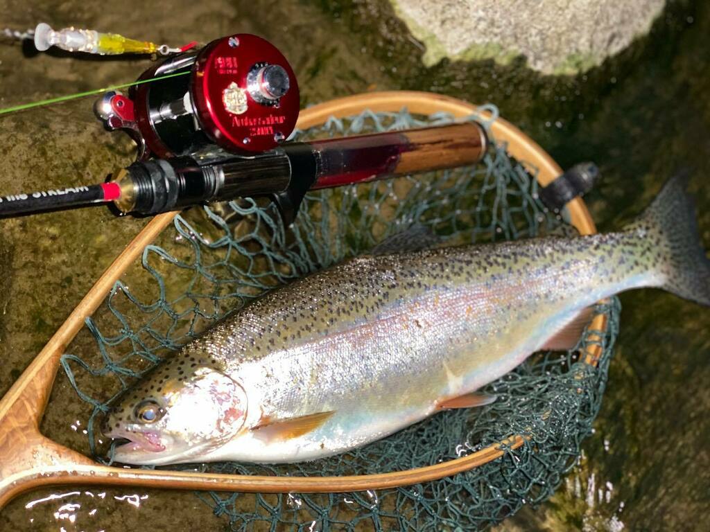 Hideaki Kikuchi 本日のニジさん ニジマス Rainbowtrout 十勝 北海道 アブガルシア アンバサダー2500c ベイトフィネス ルアーフィッシング ミノーイング Lurefishing Trout Hokkaido 自作ロッド Originalrod ウッドレジン Woodresin