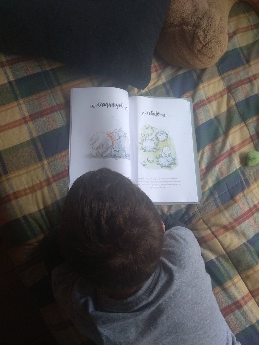 kapysm's tweet photo. L'Arnau llegint el bestiari Rourenc del gran Sergi Llorens i Biel Cussó #bestiarirourenc https://t.co/WnnmYwBrFx
