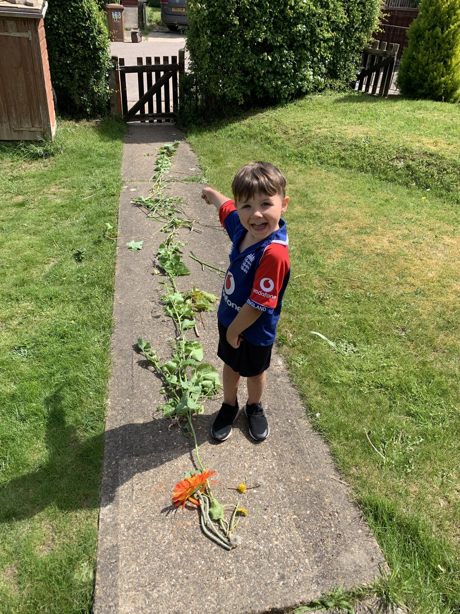Castell1Kelly's tweet photo. #loveoflearning ⁦@Kimpton_Primary⁩ Charles and the beanstalk https://t.co/vE97xNd0NM