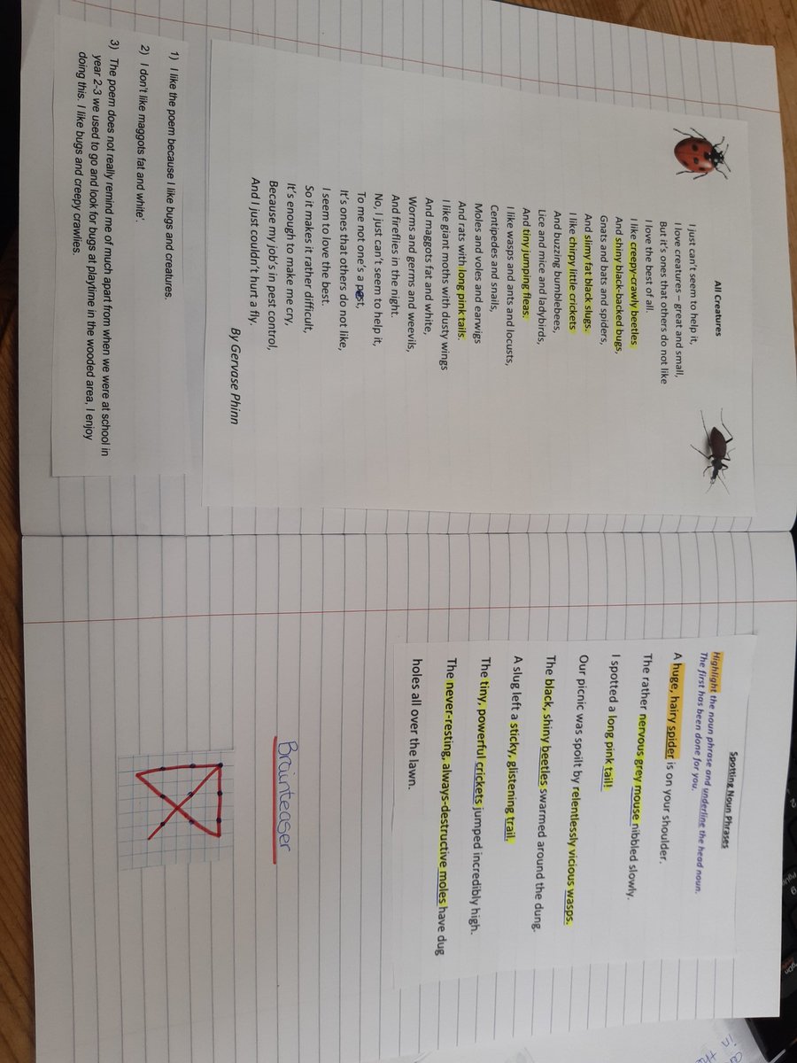 kate_1977's tweet photo. Bugs and creepy crawlies done ✔🐝🐜🐛🐞🦗🕷 @TickfordPark #tpyear4 #TPPSYear4 https://t.co/tdwK3ecZ7M