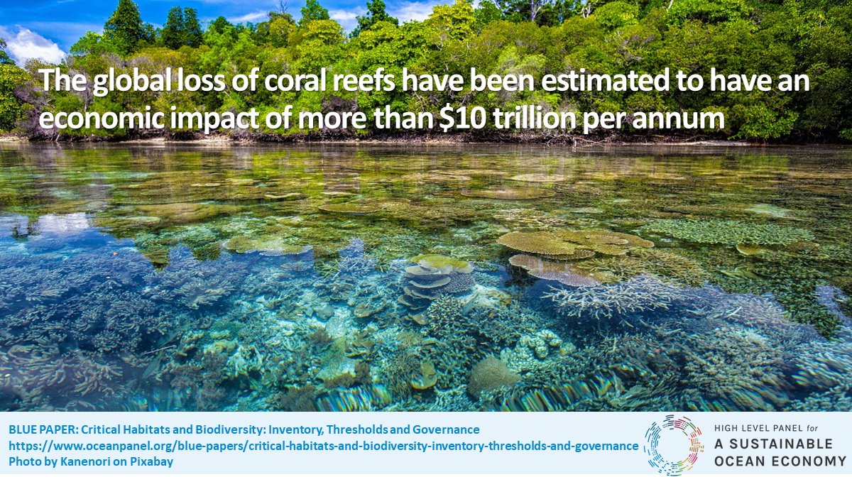#MarineBiodiversity loss not only impacts the environment, but economies too. Coral reefs alone provide coastal protection that prevent the loss and damage of an estimated US$4 billion assets annually to extreme weather events. Learn more: ow.ly/9VRT50zDISw
