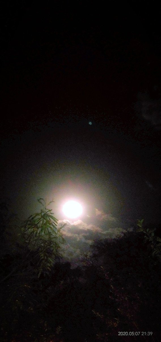 mukul84ya's tweet photo. #Budhapurnima https://t.co/gdj9FKZLwr