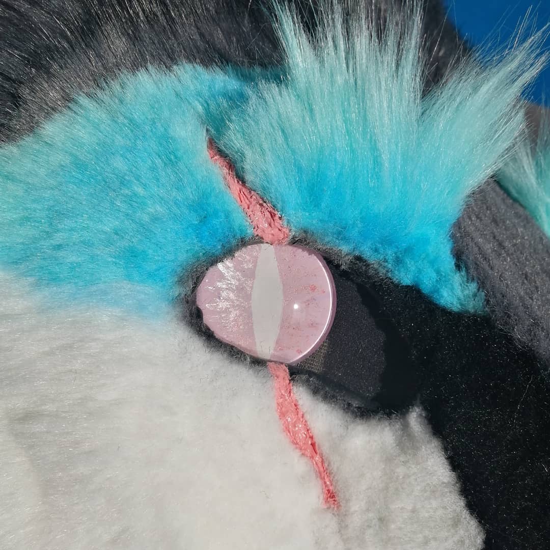 AliraGrimm's tweet photo. Something I rarely write here. So... Sergal is finished :)
#furry #fursuit #fursuithead #craft #fursuitmaker #fursuitmaking #fursuiting #fursuitwip #fursuitprocess #fursuitbase #fursuitsergal #sergal #sergalfursuit #furrypersona #fursuitforsale #fursuitsale https://t.co/SAZAPBs6PZ