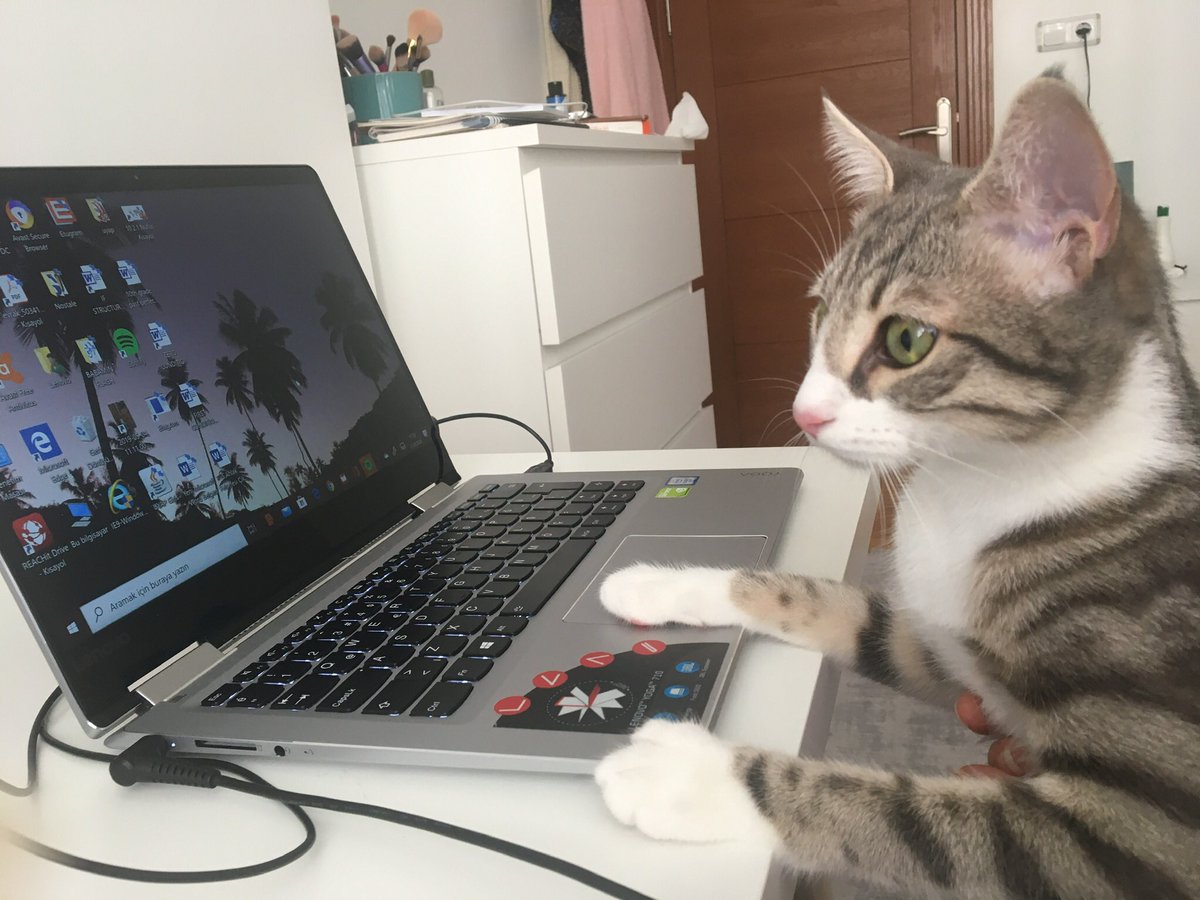 online sınavı şu şekil bekliyoruz