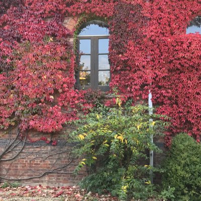 SackStoreBoston's tweet image. #NewProfilePic