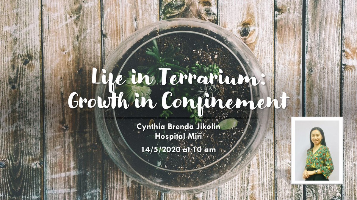 MentariMiri's tweet photo. Plants planted inside the confined space can grow healthily given the right care. It is not impossible for us humans to continue nurturing ourselves despite limited mobility. Tune into a clinical psychologist's lived experience during this pandemic: https://t.co/knXcnEXexT https://t.co/vs7DBgwyy7