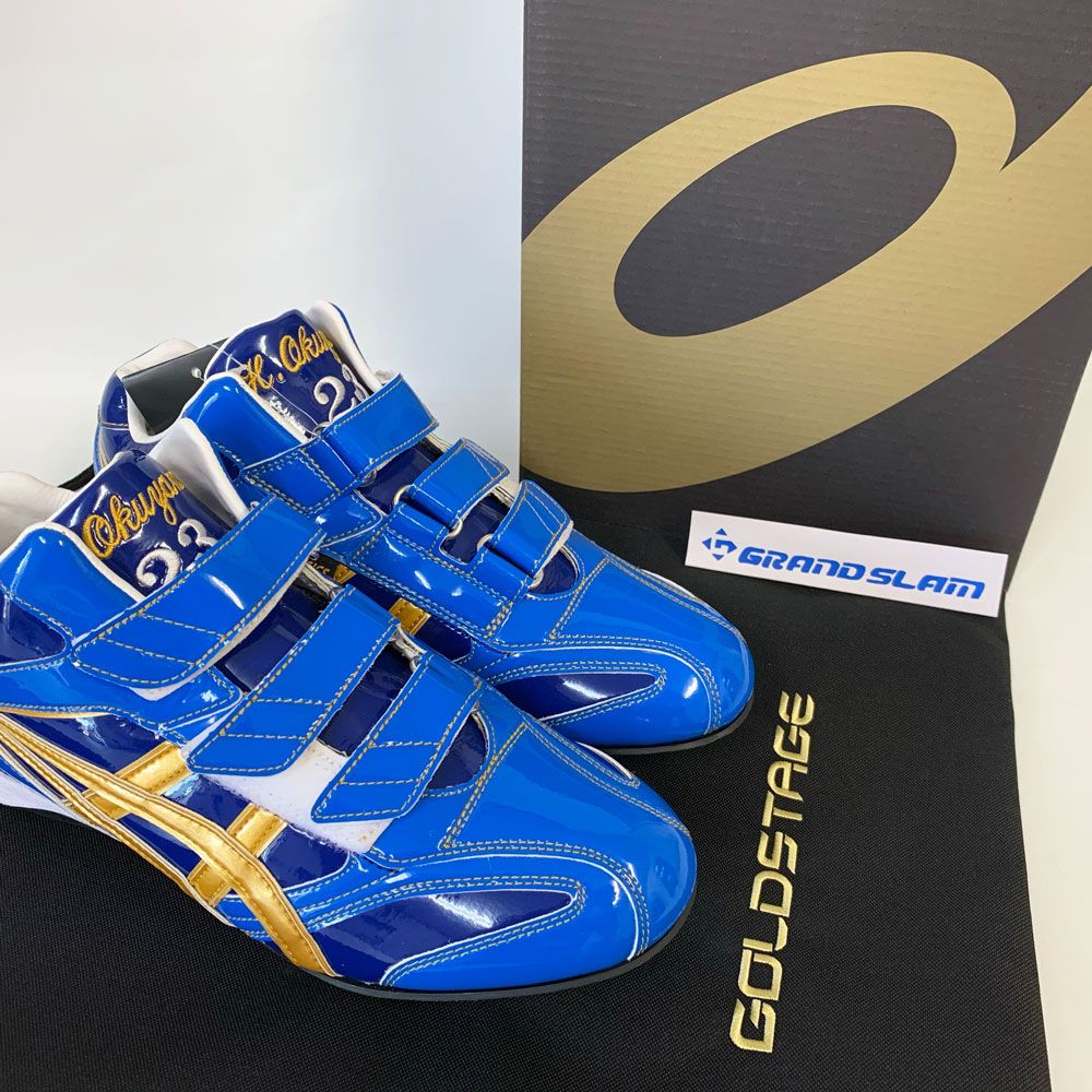 アシックス ゴールドステージ メッシュ オーダー スパイク 26センチ