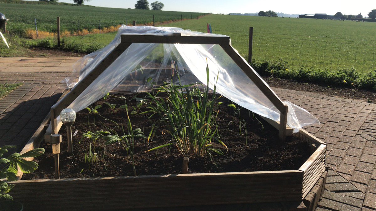 Jaynewills's tweet photo. Meet Elton!  Named because our quickly made polytunnel is still standing after 40mph winds.  Surprising what you can make with wood and clothing storage bags to hand! #eltonjohn #MontyDon #gardener #resilience #newapproach #outsource #VA https://t.co/Qo0IYUyhfu