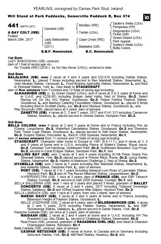 馬 Le Cheval♘♞ tweet media