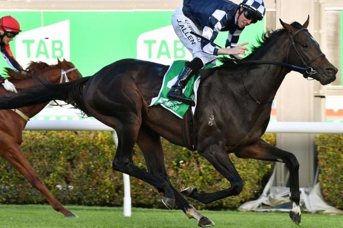 馬 Le Cheval♘♞ tweet media