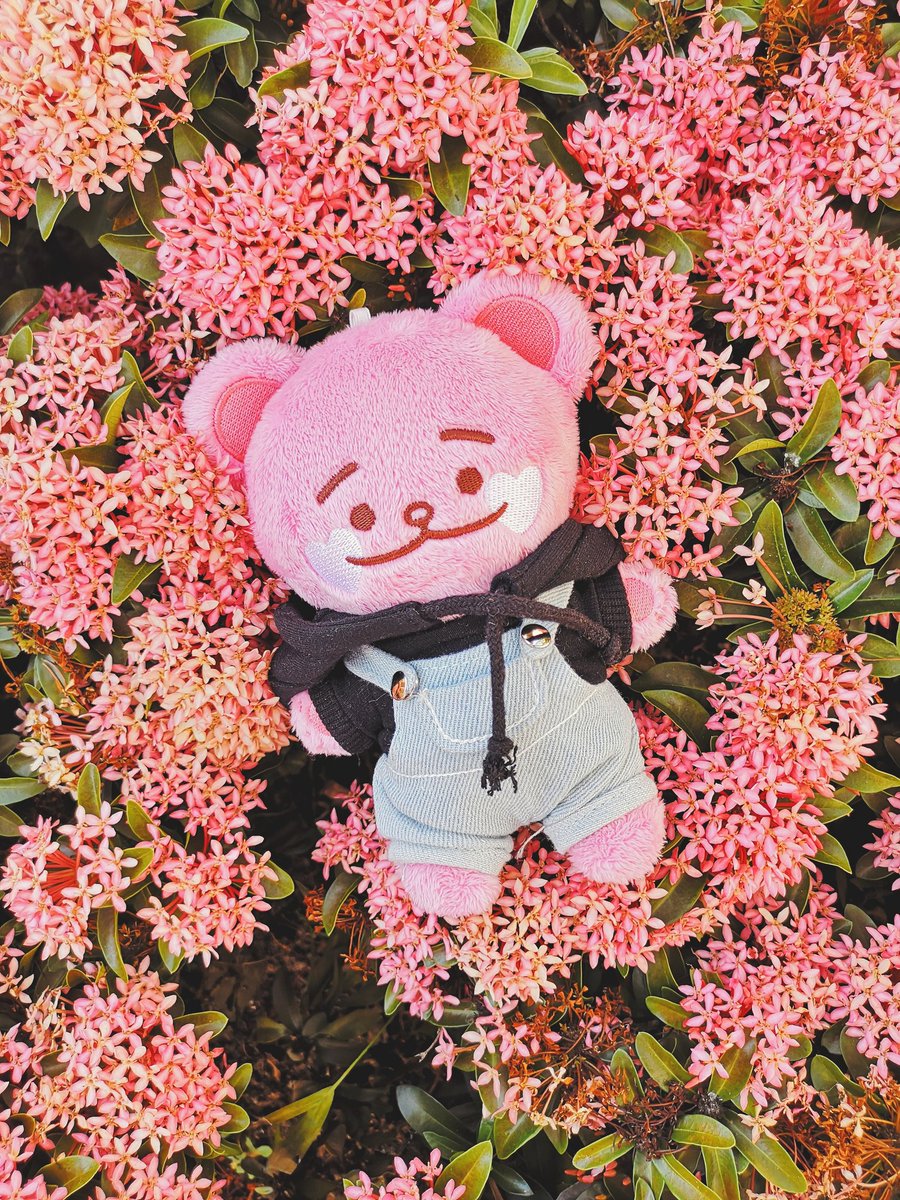 neo_bearclub tweet picture