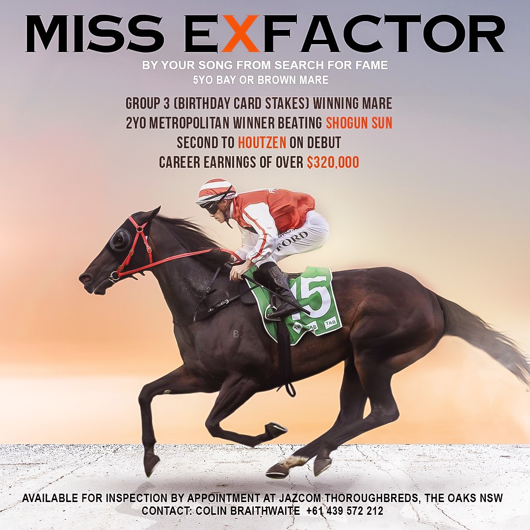 KerrodHall1's tweet photo. Proud to say that our Gr3 winning mare Miss Exfactor has been purchased by @AquisFarm and will join a star studded book of mares heading to first season sire Pierata A $70K @mmsnippets yearling, she has now developed into a lovely mare set for a great future in the breeding barn https://t.co/8ejmMQQTjU