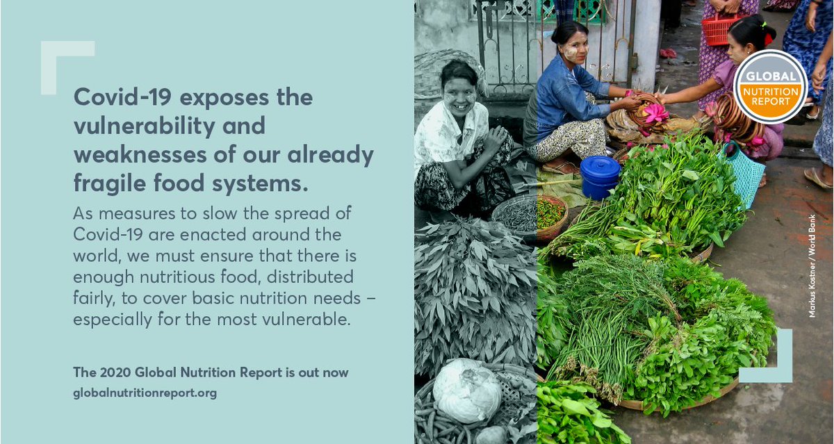 SUNBizNet's tweet photo. #COVID19 has exposed the fragility of our food systems - ensuring everyone has access to safe, nutritious food is more important than ever. 

Check out the Global Nutrition Report 2020 launching today! @GNReport https://t.co/0vvrhE1i2H